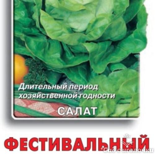 Семена Салат Фестивальный (Черно-белый пакет) 1гр